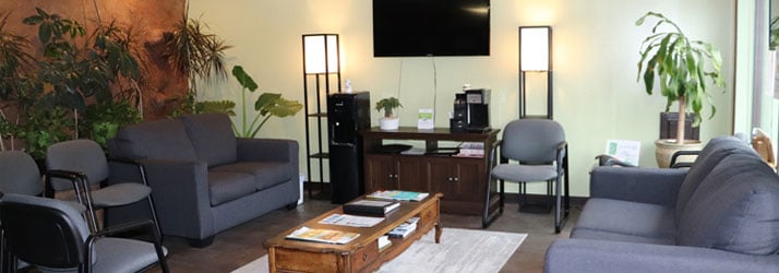 Waiting-Room-at-Art-of-Life-Chiropractic Waiting Room at Art of Life Chiropractic